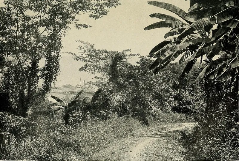 Tom Aspinall Net Worth 2026 - How They Built Their Fortune