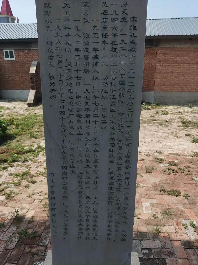 Weili Zhang Net Worth 2026 - How They Built Their Fortune